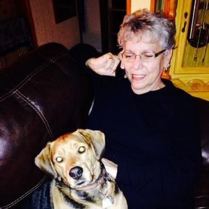 Meet your Posher, Donna